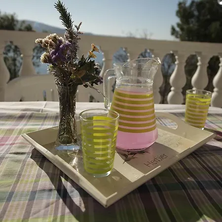 Marijana-direktno Na Moru 公寓